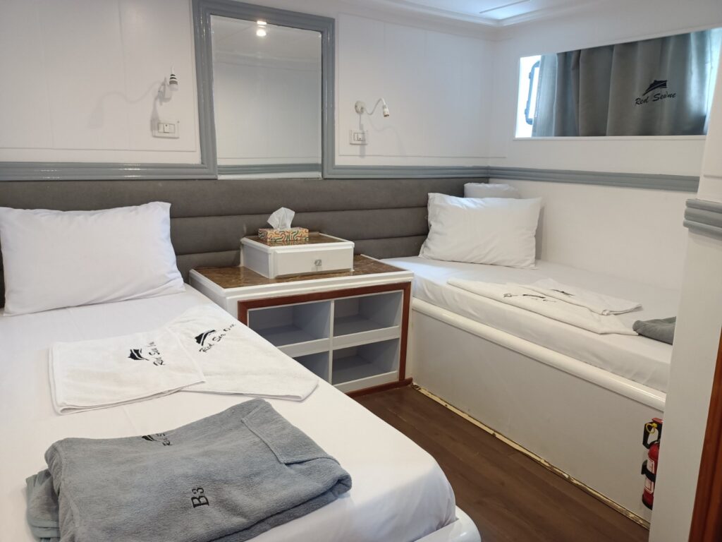 Safari Egipt - listopad 2026 14 19eef633 0025 44a3 899f 582682234243