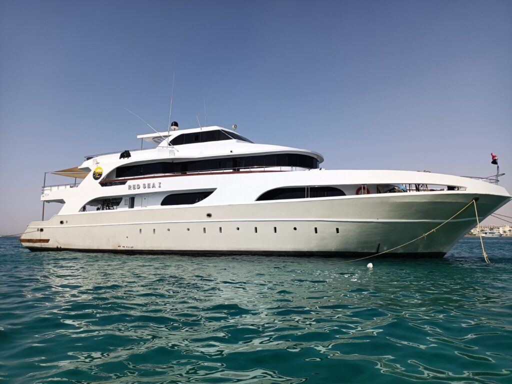 Safari Egipt - listopad 2026 7 4bec09be 5bb4 42cb bba2 9a115ef604ab