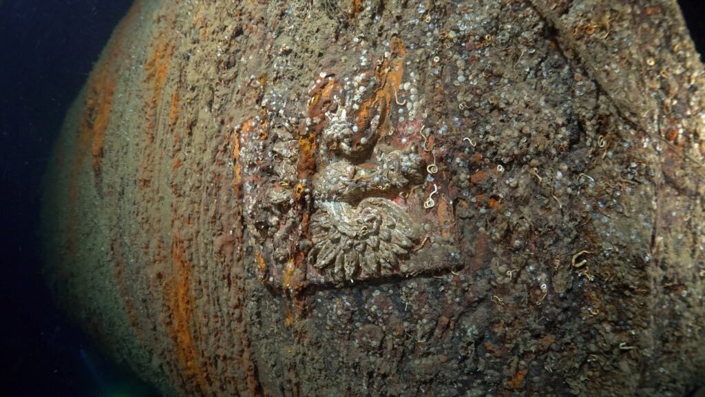 545053011 24793350730291117 4055557458600955976 n