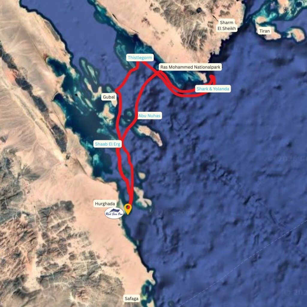 Safari Egipt - listopad 2026 21 6070de56 8a6d 4834 9ea4 4cd577c472db