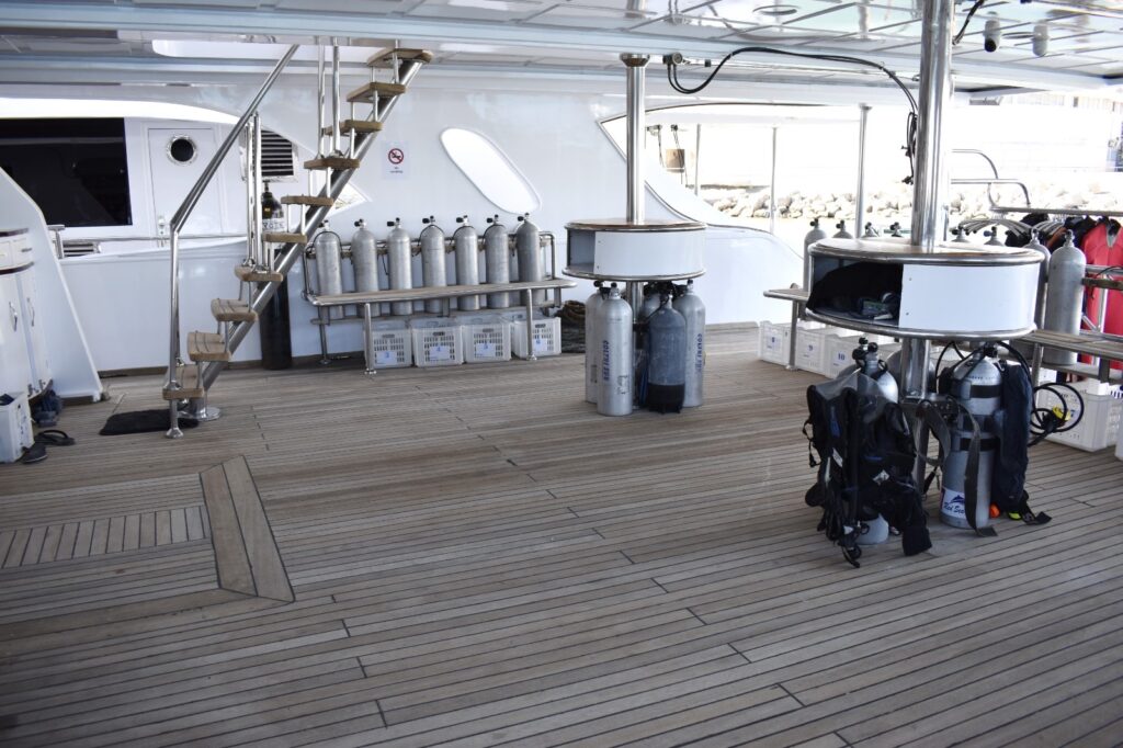 Safari Egipt - listopad 2026 10 78e12c6f 6920 4000 a109 aa0e462bd7e8