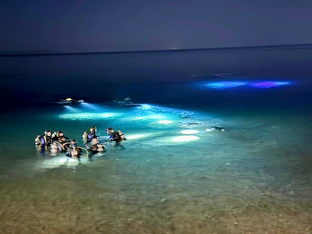Dahab 2