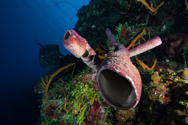 Infonurek 2 04 2026 K