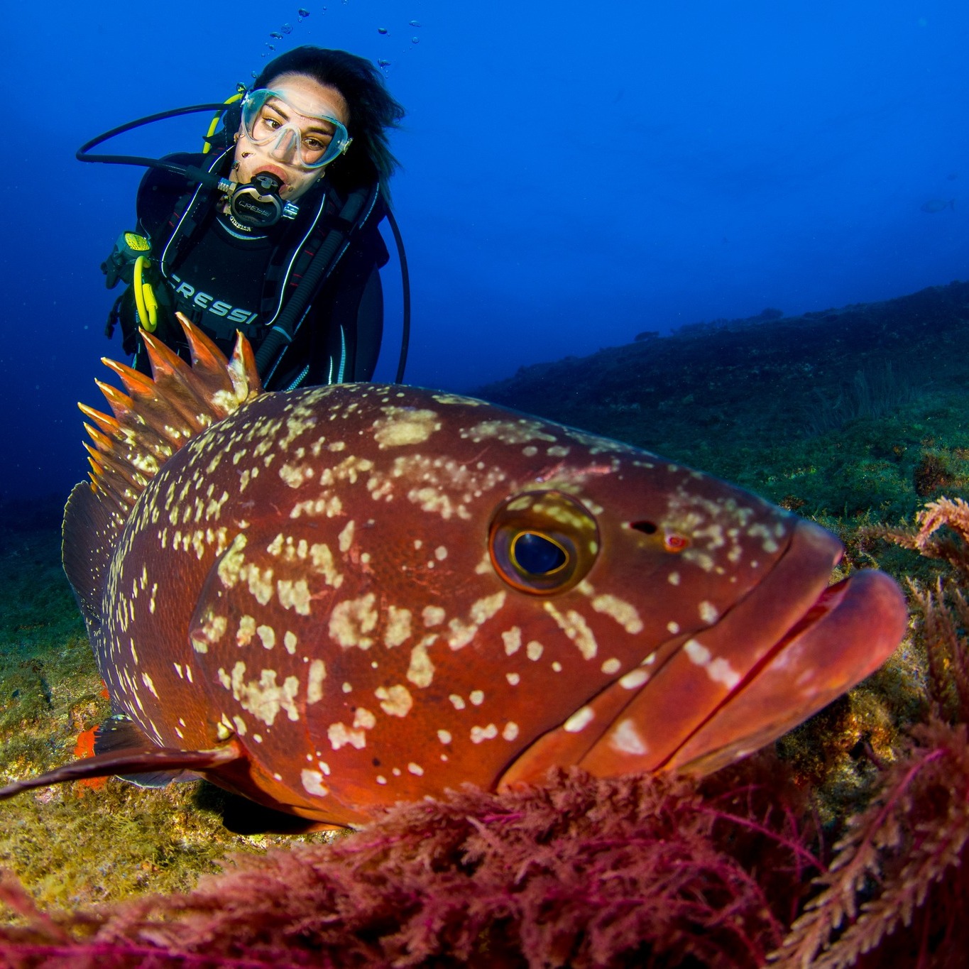 Kursy Nurkowania FreeDiving