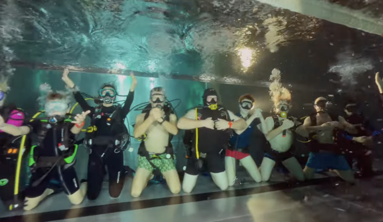 SN KROKODYLE picie Szampana pod woda.