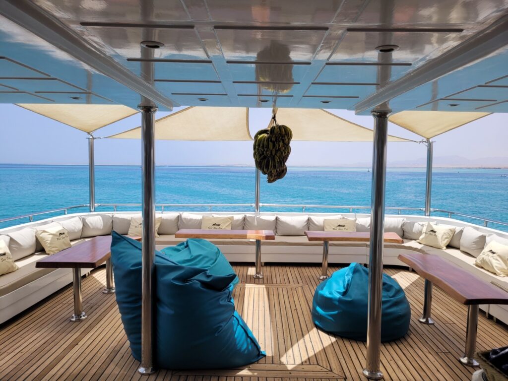 Safari Egipt - listopad 2026 5 aa723b37 778d 432e 9559 1ac59190d48c