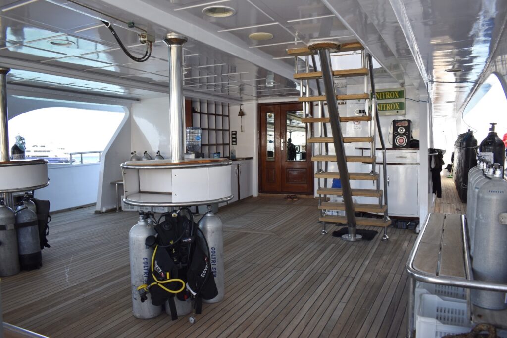 Safari Egipt - listopad 2026 11 cb438c48 df57 4927 829d b2c596a30ac1