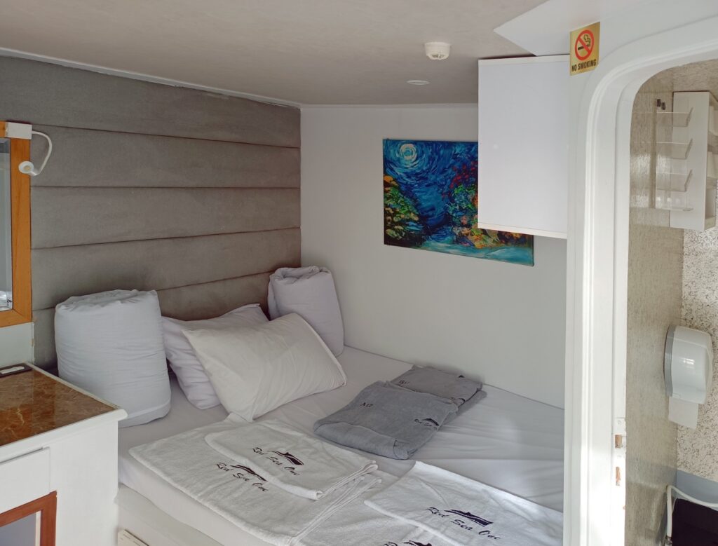 Safari Egipt - listopad 2026 12 d9627551 d35e 4e34 afd9 78ef4617b988