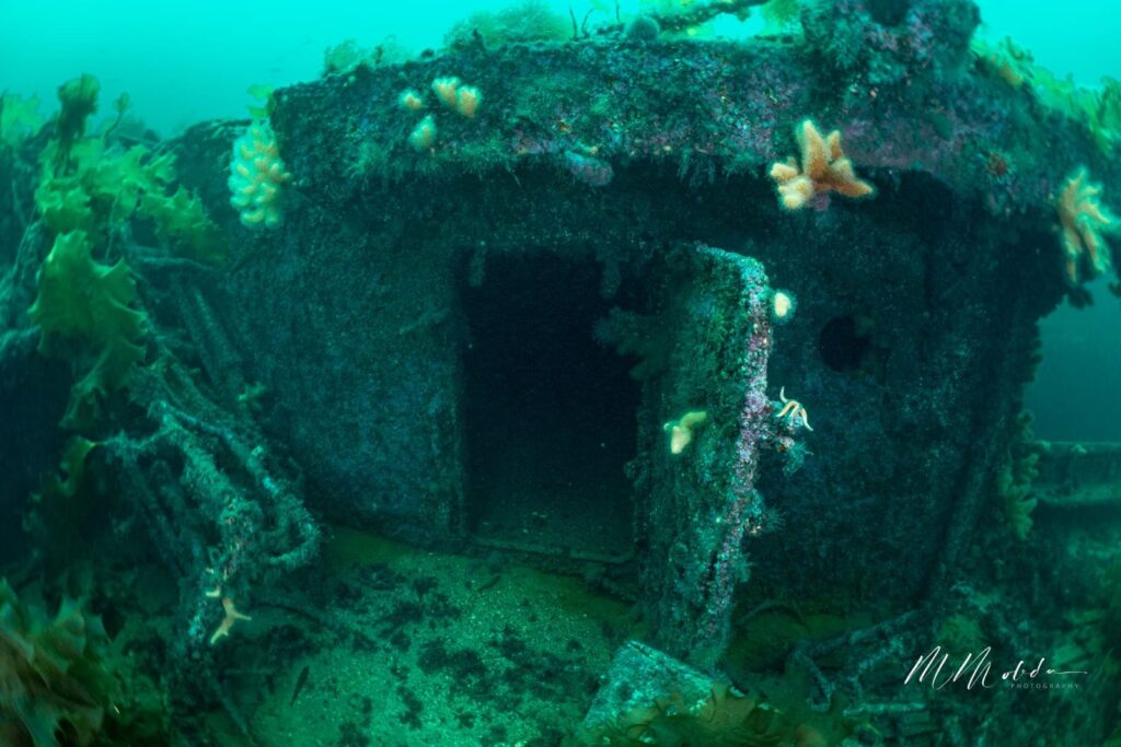 wrak10486667170 1194698045998983 1549877875556658355 n