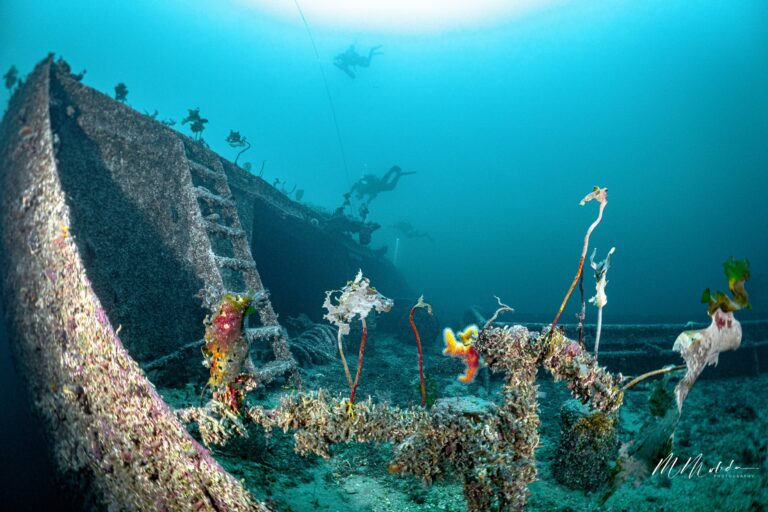 wrak5493135389 1226353329500121 5488445923626159349 n 1